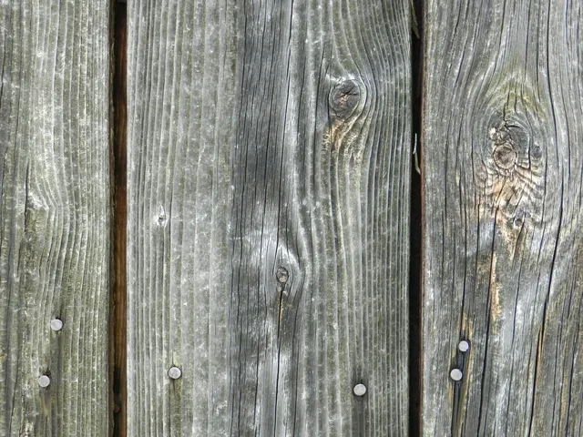 Los pavimentos de madera en la nueva construcción