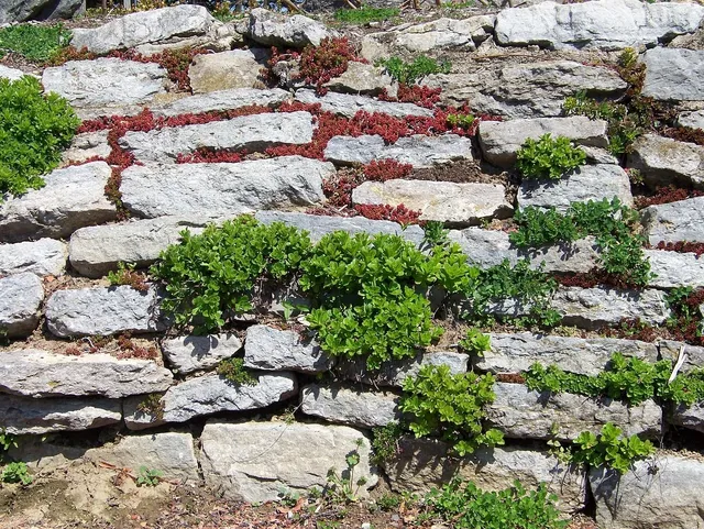 construccion de un muro de piedras casero