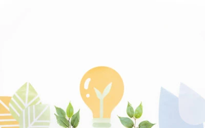 Soluciones ecológicas para decorar tu casa