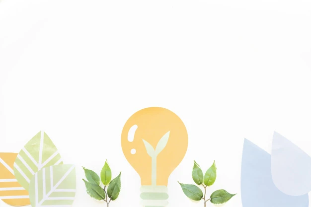 Soluciones ecológicas para decorar tu casa