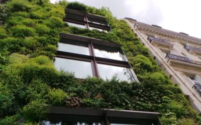 Haz tu hogar eco-friendly