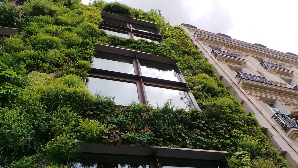 Haz tu hogar eco-friendly
