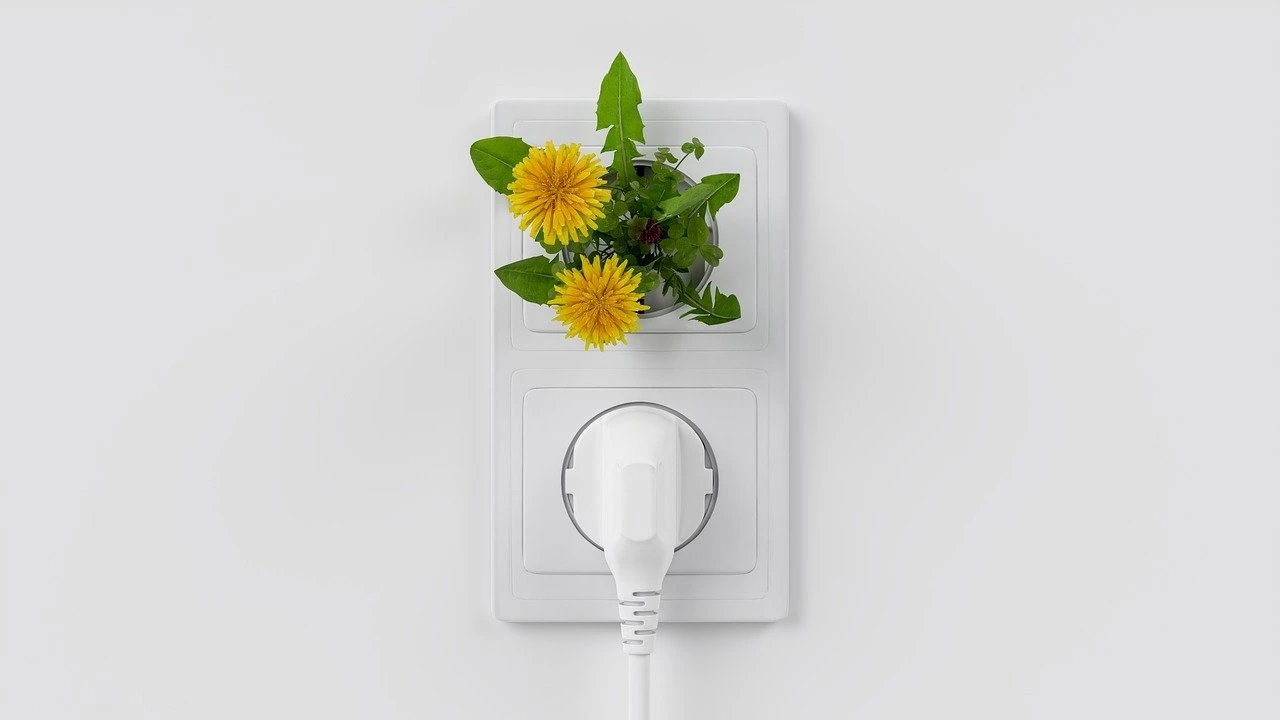 Consejos para bajar tu factura de luz haciendo unas reformas en tu casa